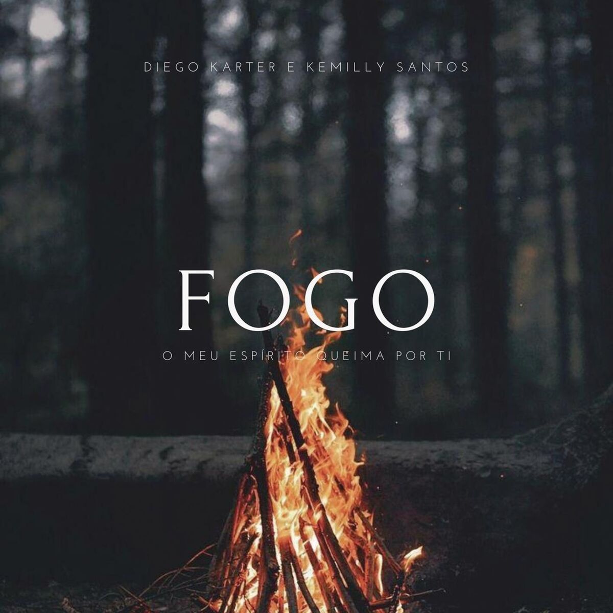 Album cover of Fogo