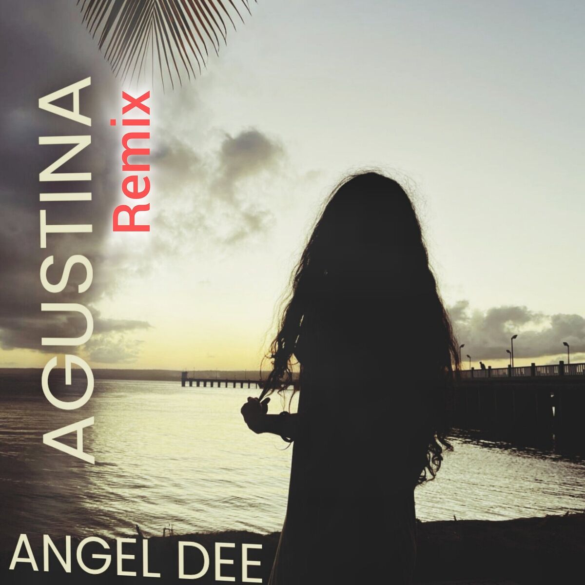 Album cover of Agustina (Remix)