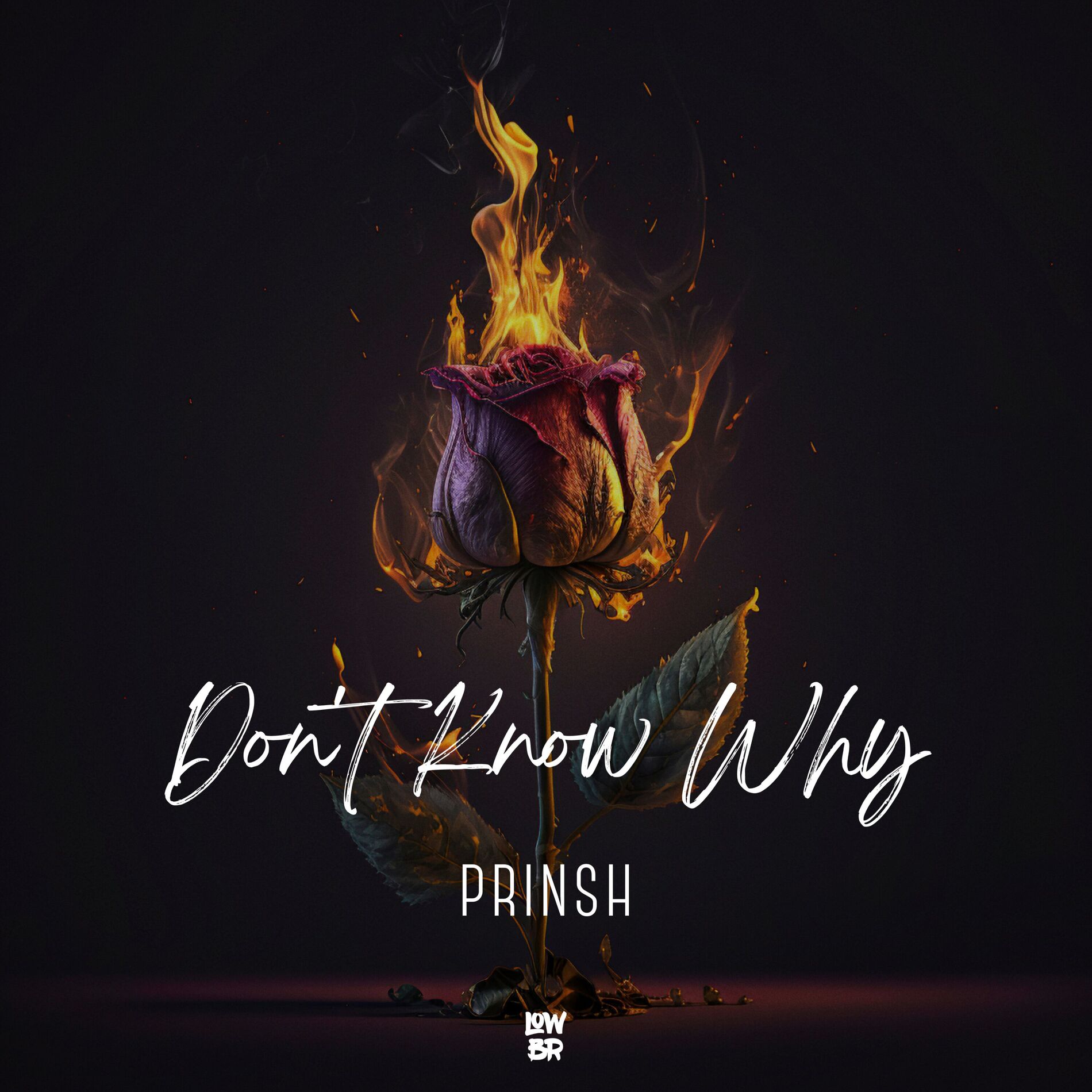 Album cover of Don't Know Why