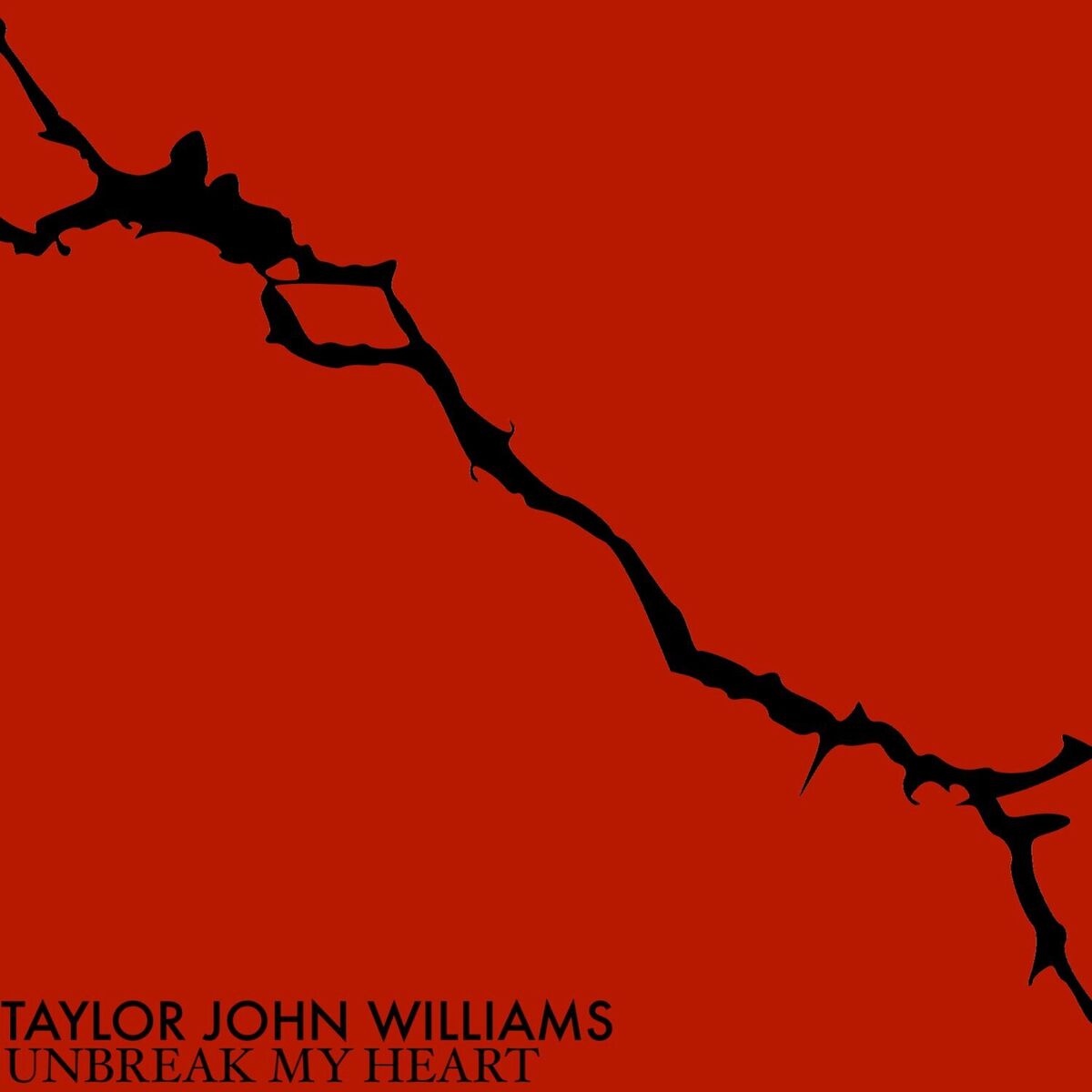 Album cover of Unbreak My Heart