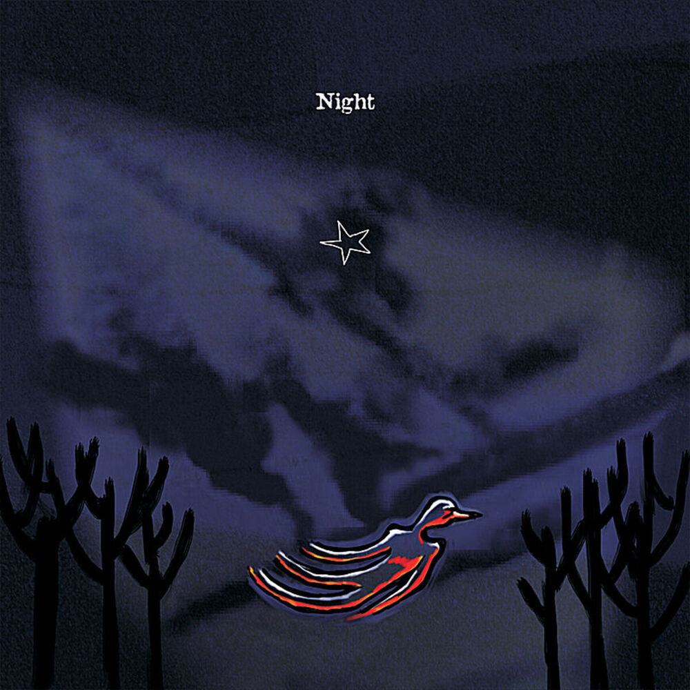 Picture of Night