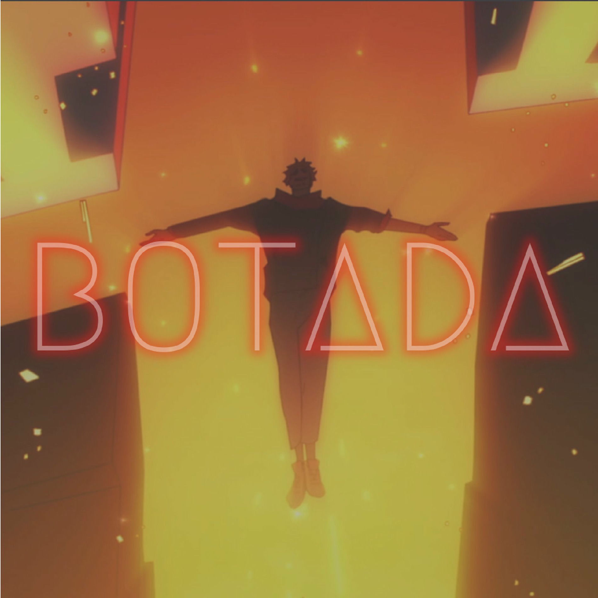 Album cover of BOTADA