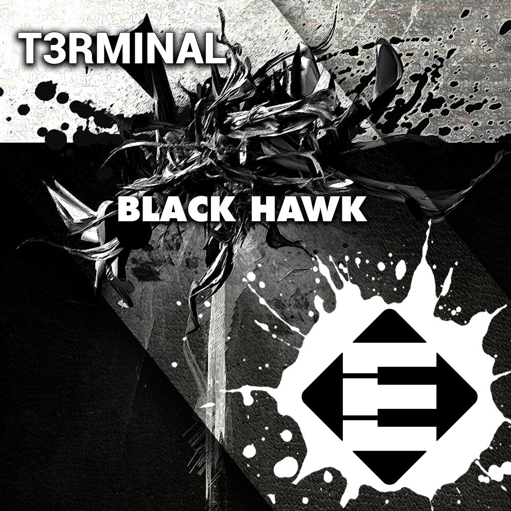 Picture of Black Hawk