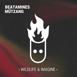 Cover of Wildlife & Imagine