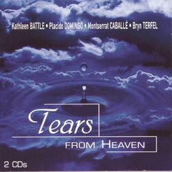 Cover of Tears From Heaven