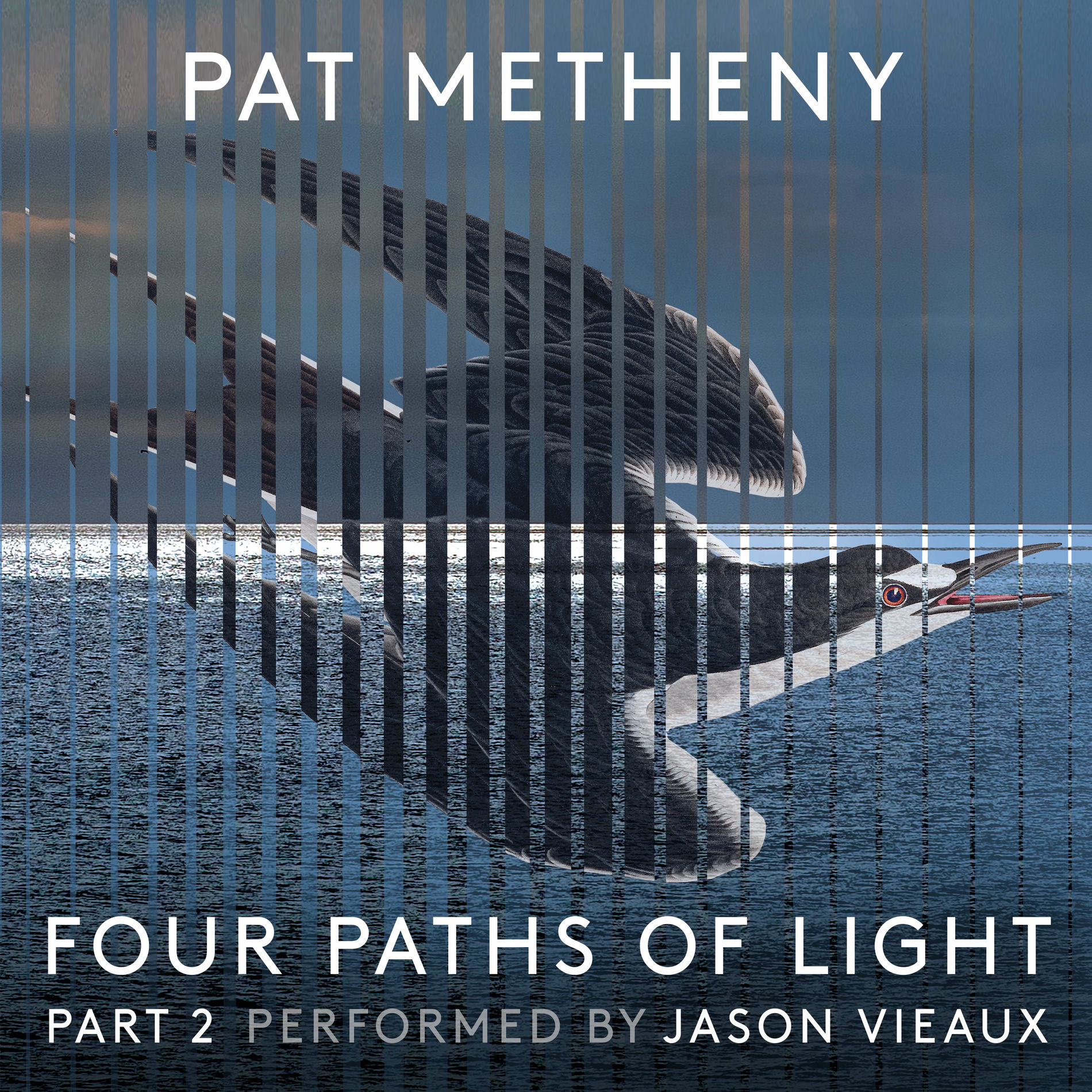 Album cover of Pat Metheny: Four Paths of Light, Pt. 2