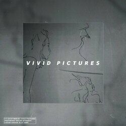 Cover of Vivid Pictures