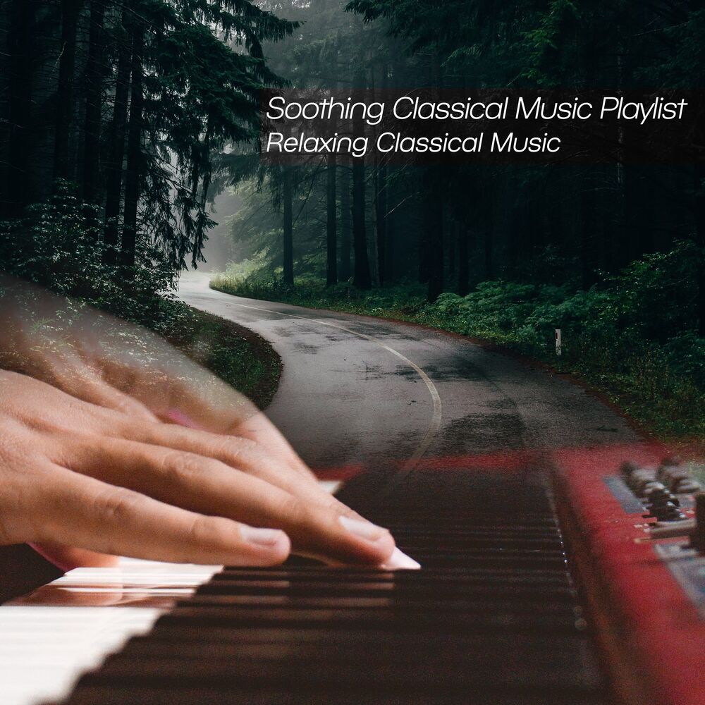 Picture of Soothing Classical Music Playlist