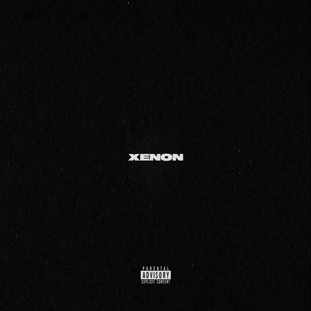 Picture of XENON