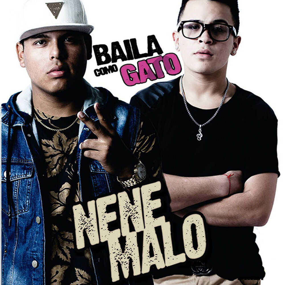 Picture of Baila Como Gato