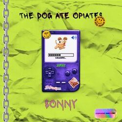 Cover of The Dog Ate Opiates