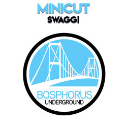 Cover of Swagg!