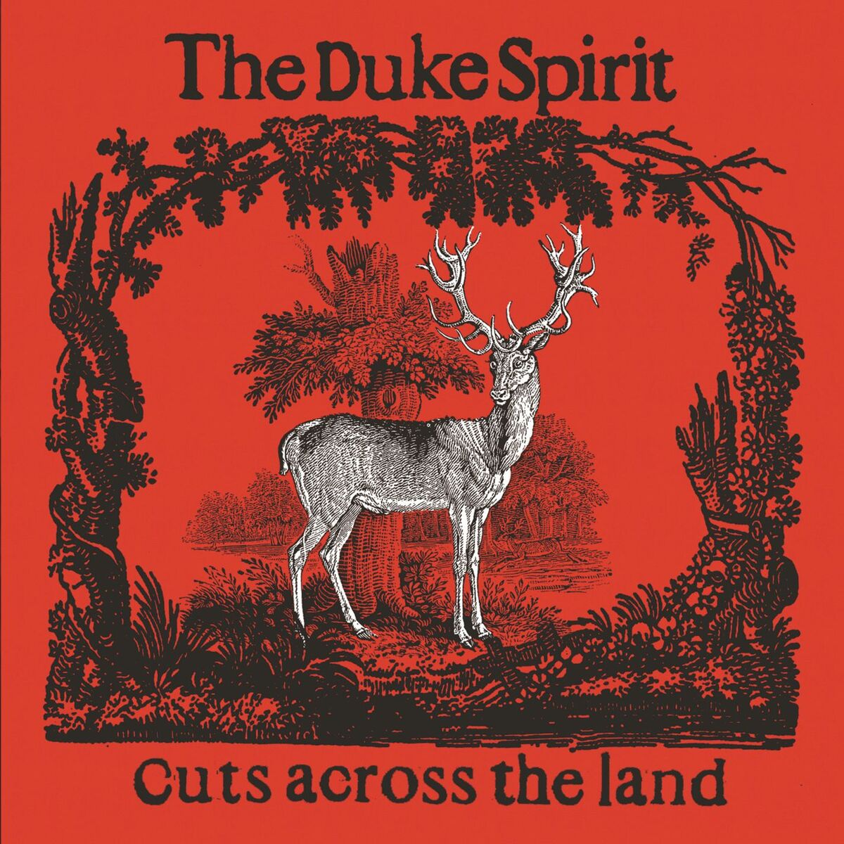 Album cover of Cuts Across the Land