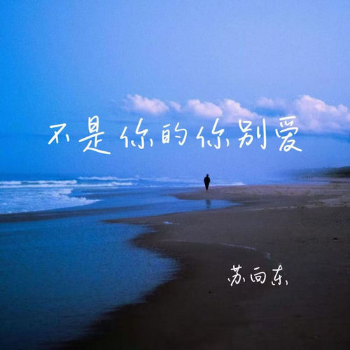 不是你的你别爱