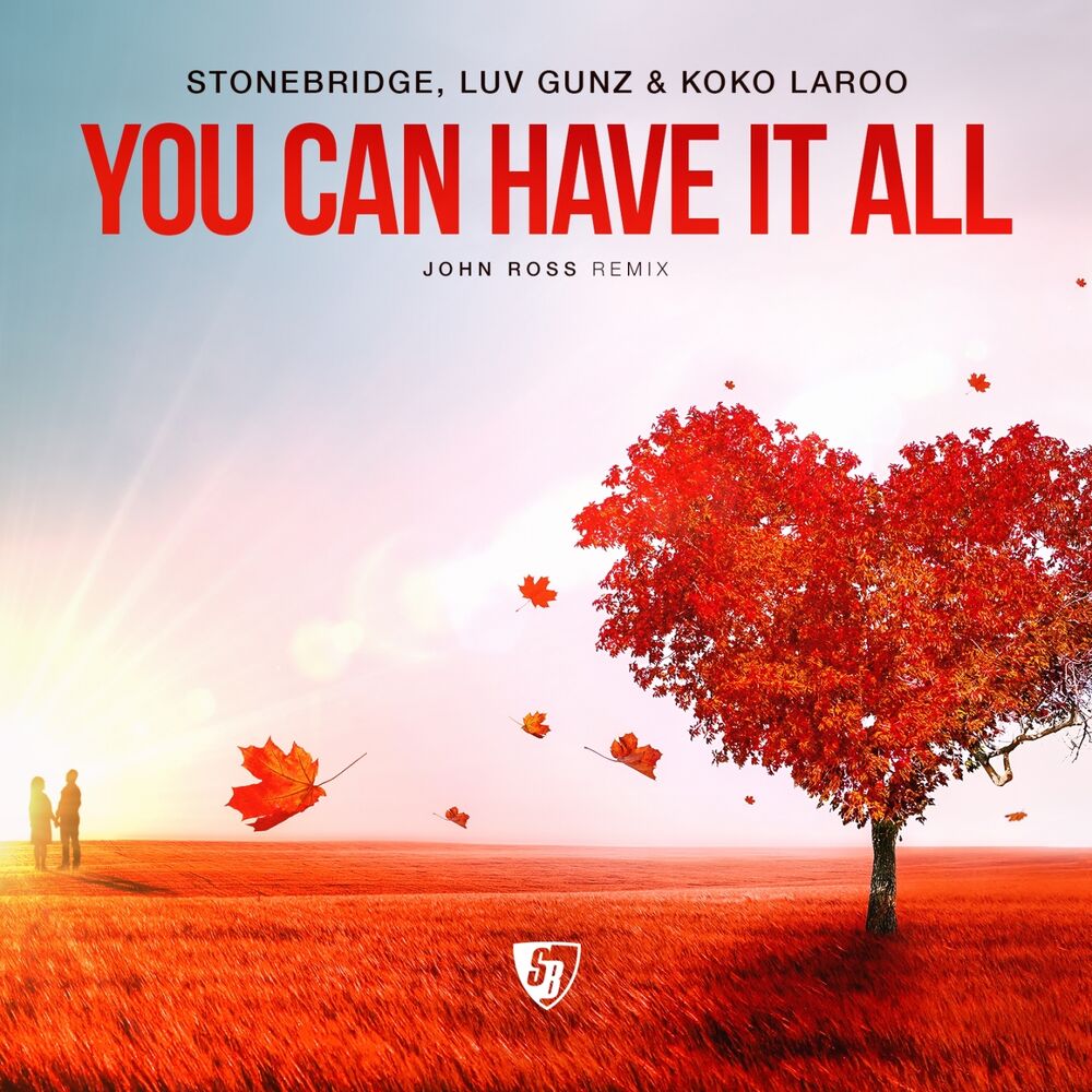 Picture of You Can Have It All (Remixes)