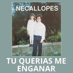 Cover of Tu Querias Me Enganar