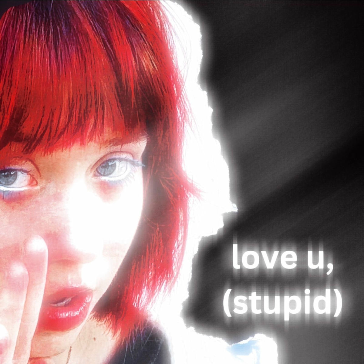 Album cover of Love U (Stupid)