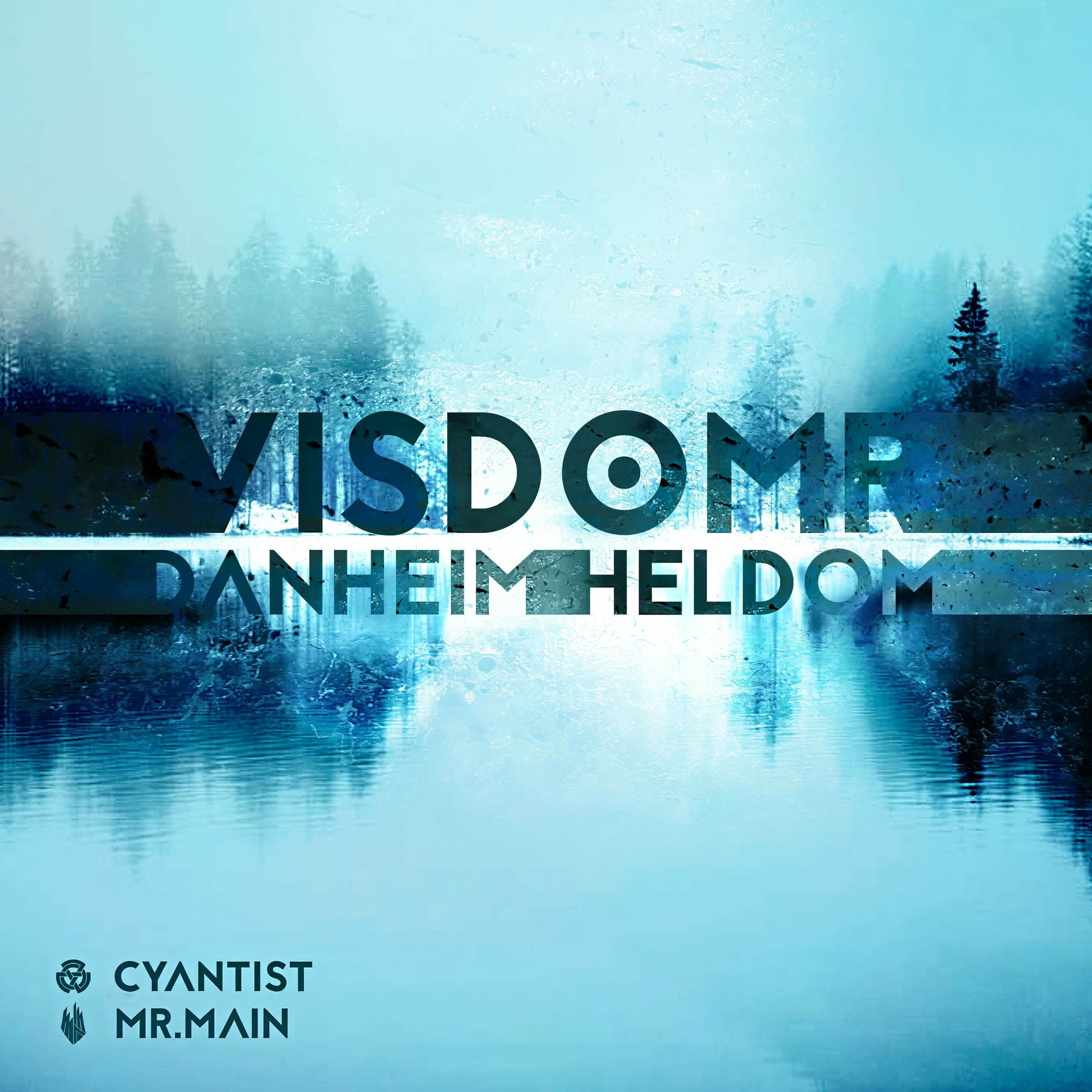 Album cover of Vísdómr (Cyantist & Mr.Main Remix) (feat. Mr.Main)