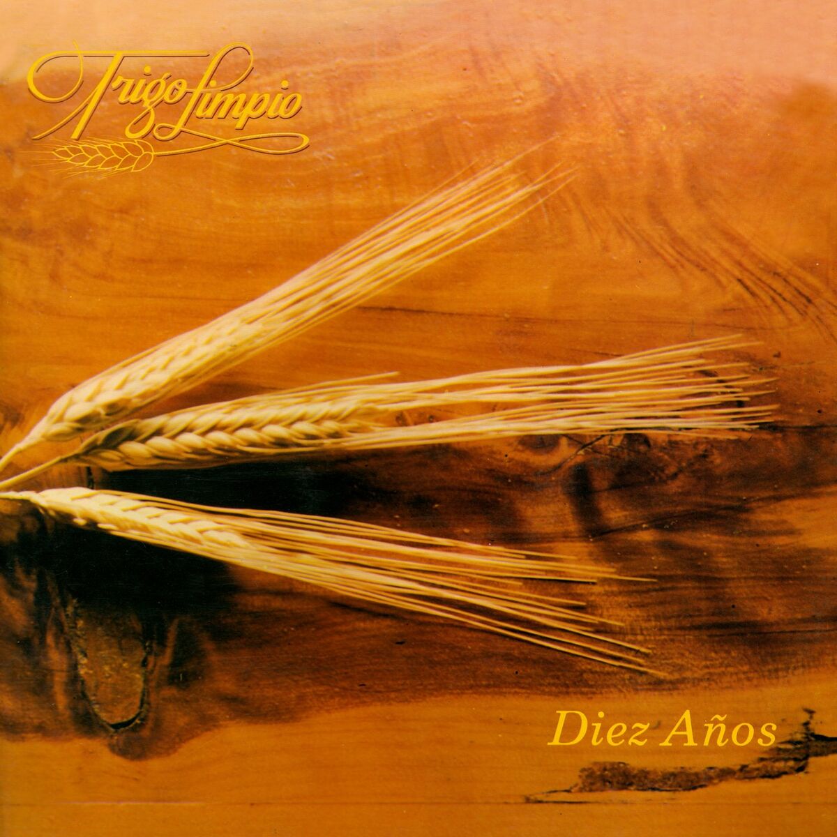 Album cover of Diez Años