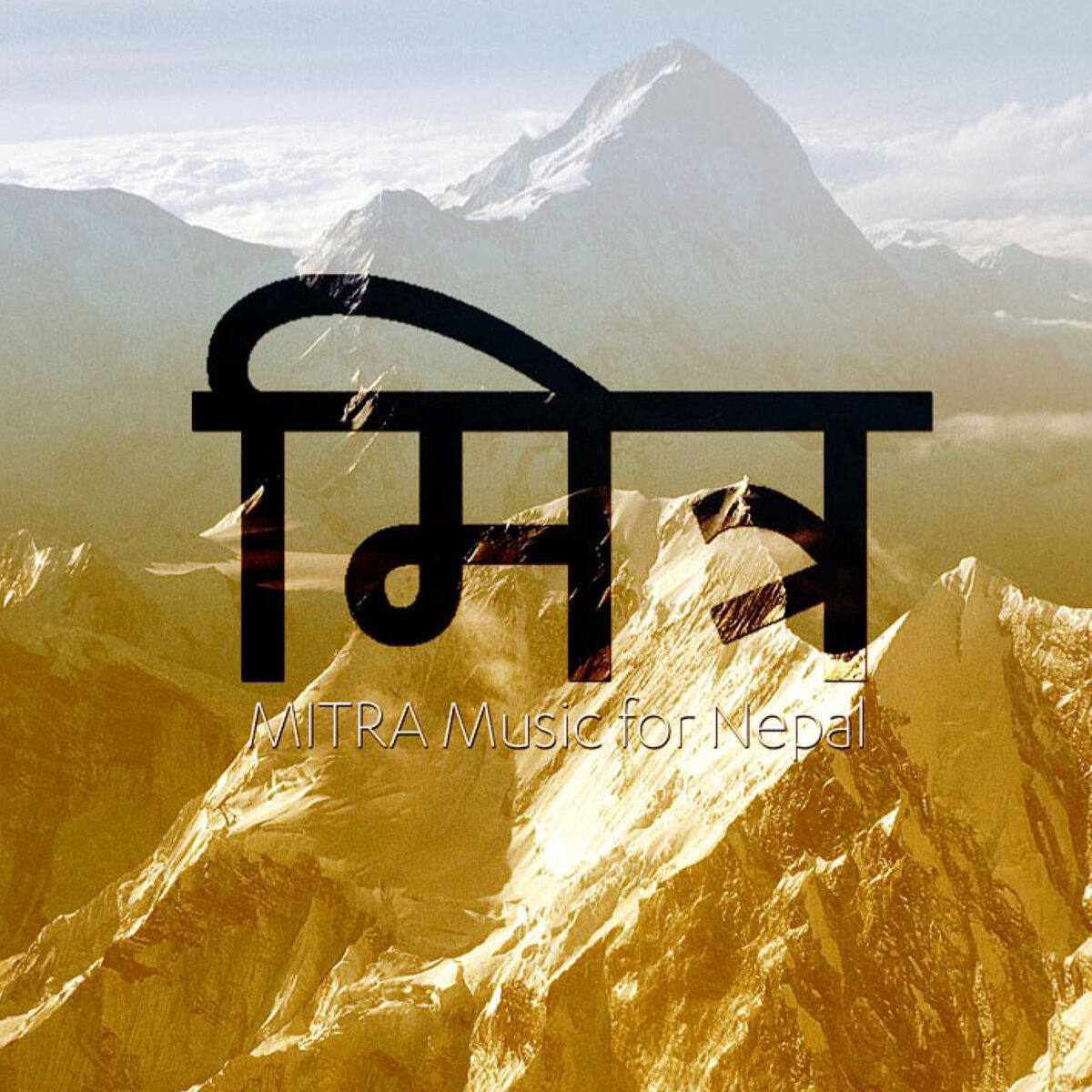 Album cover of Adder Stone