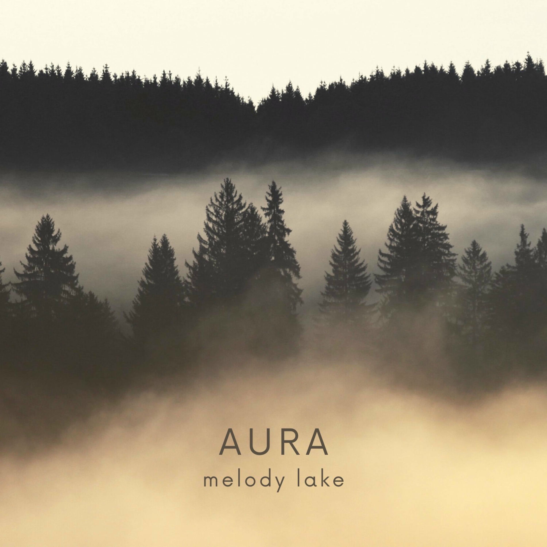 Album cover of Aura