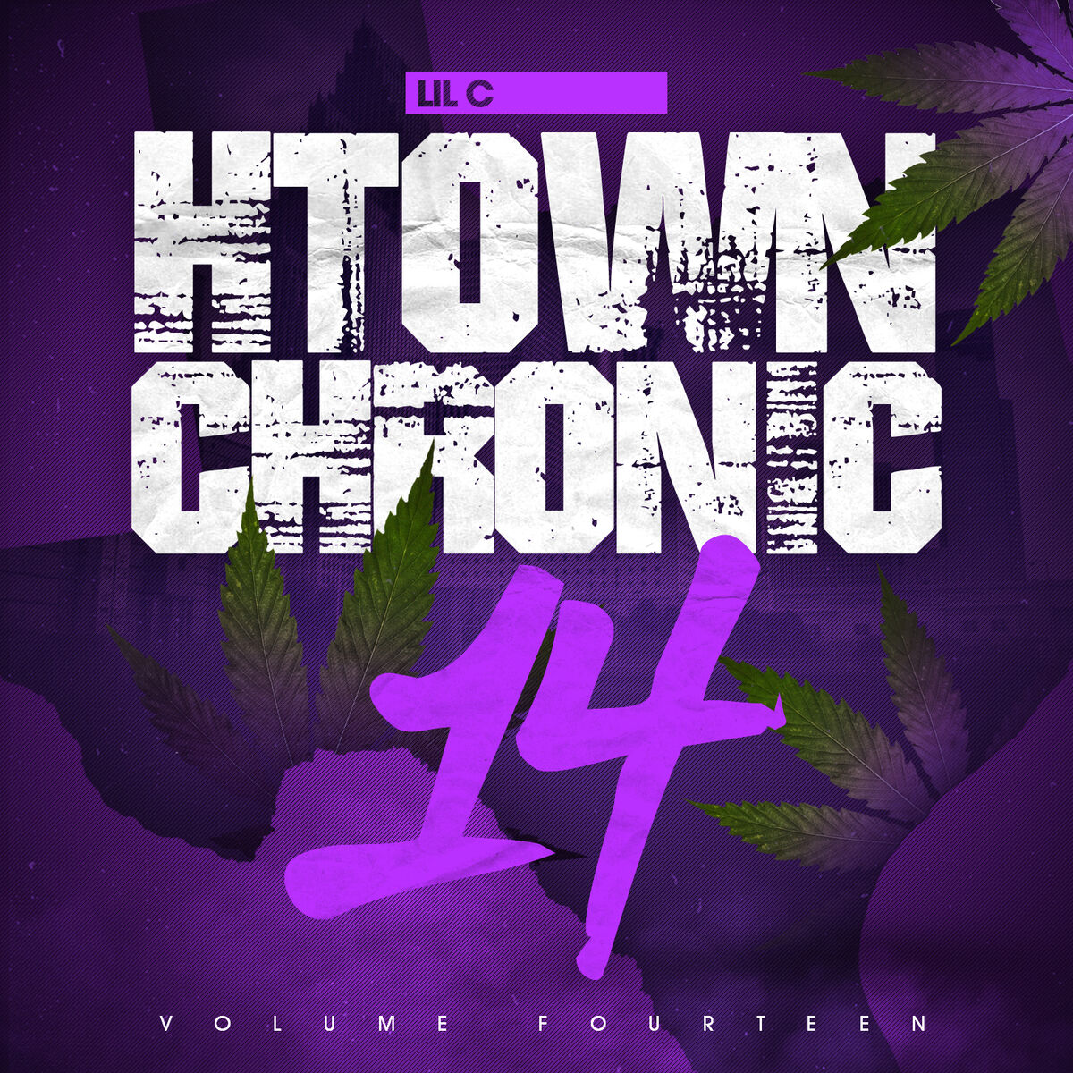 Album cover of H-Town Chronic 14