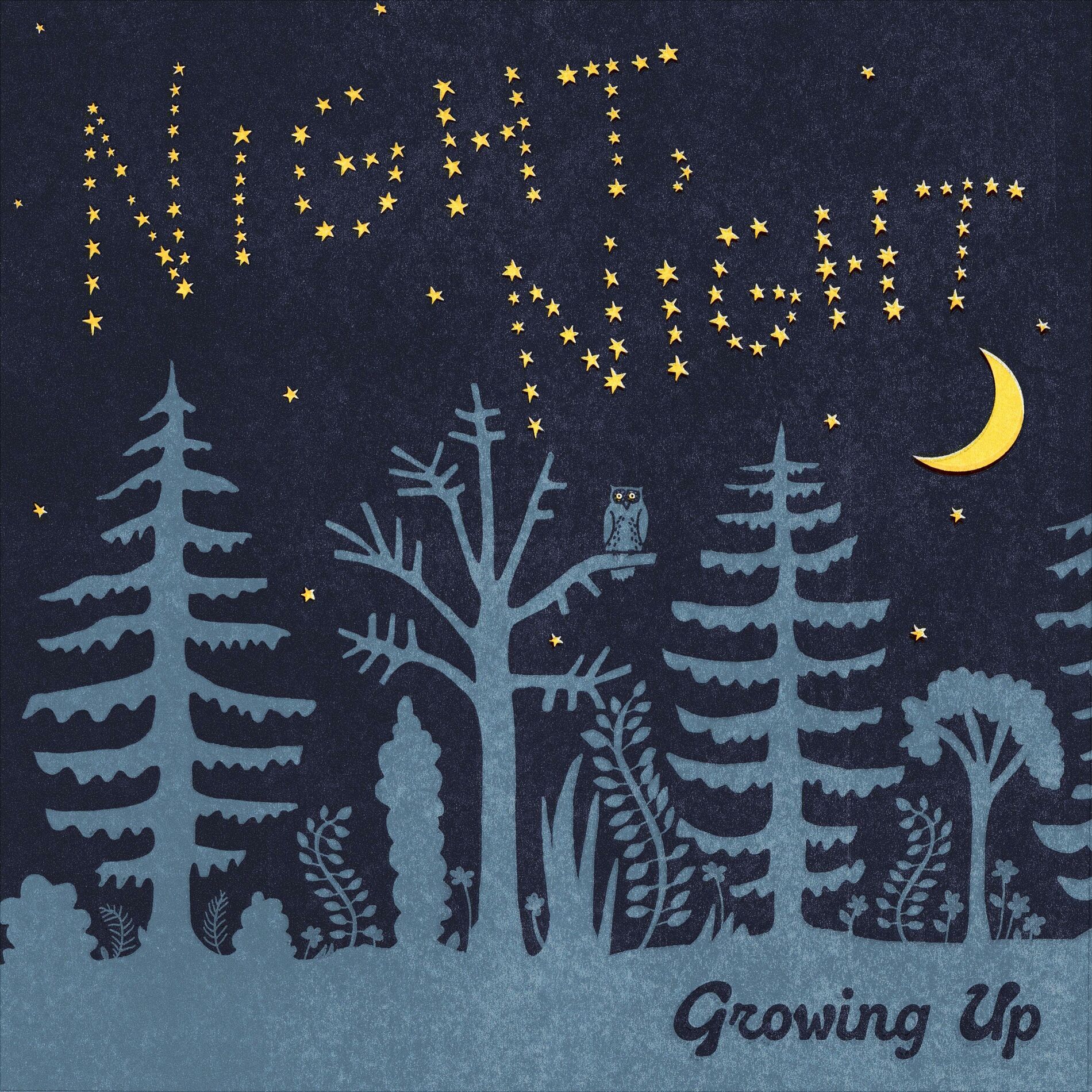 Album cover of Night, Night
