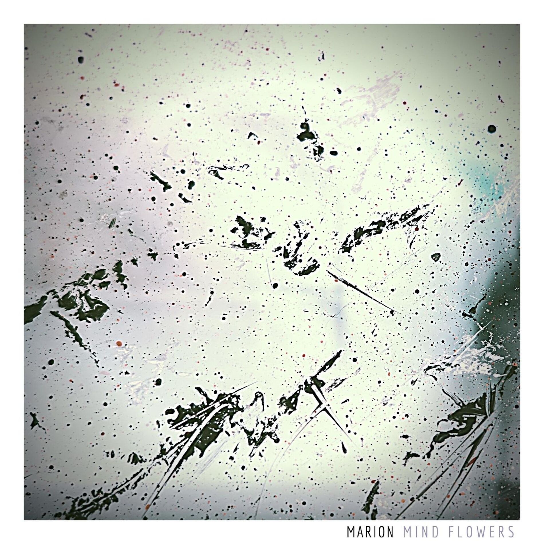 Album cover of Mind Flowers