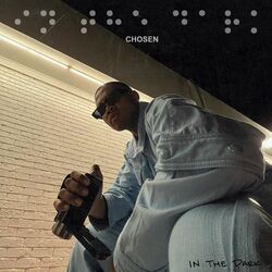 Cover of IN THE DARK