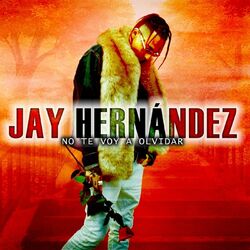 Cover of No Te Voy a Olvidar