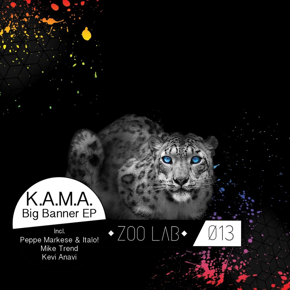Picture of BIG BANNER EP