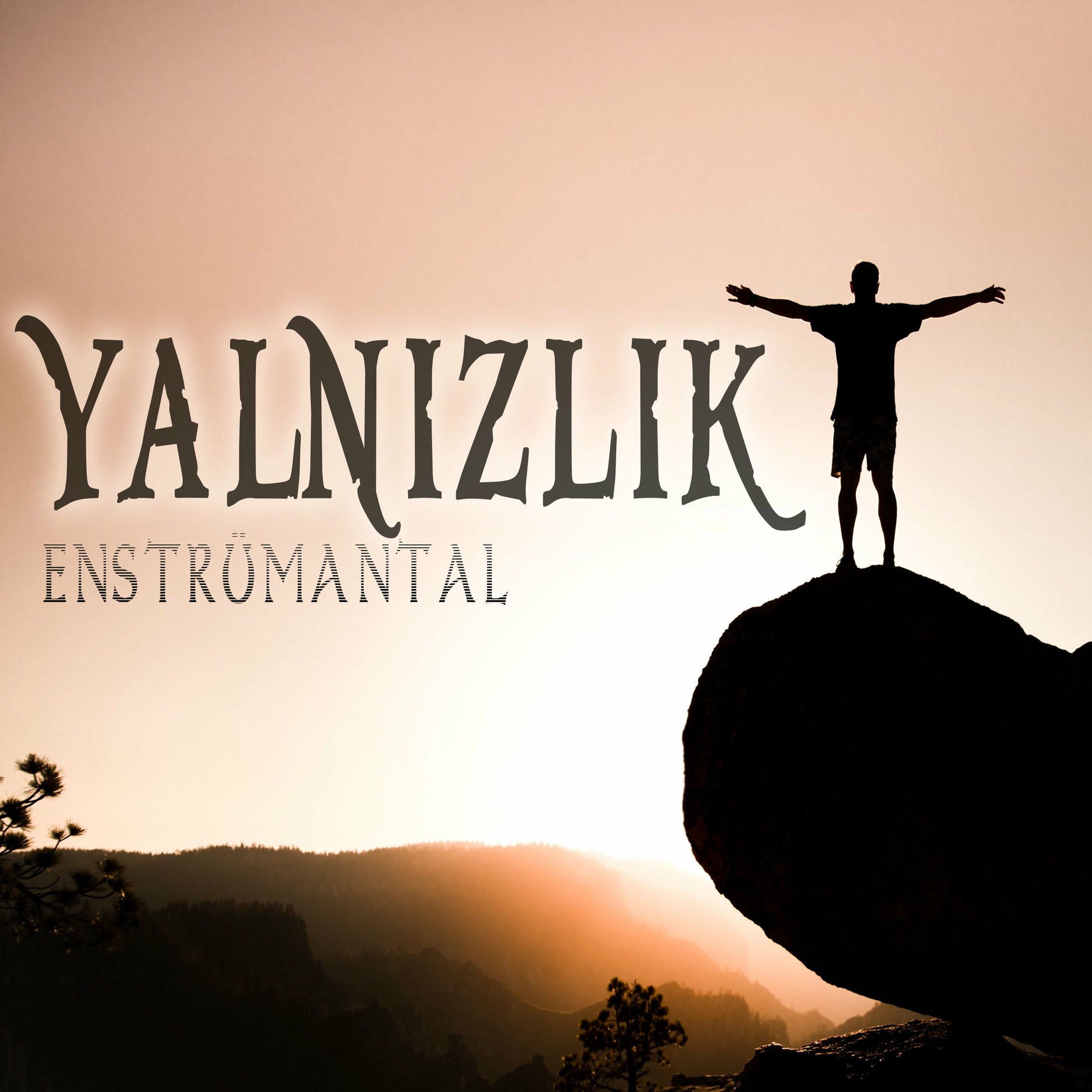 Album cover of Yalnızlık