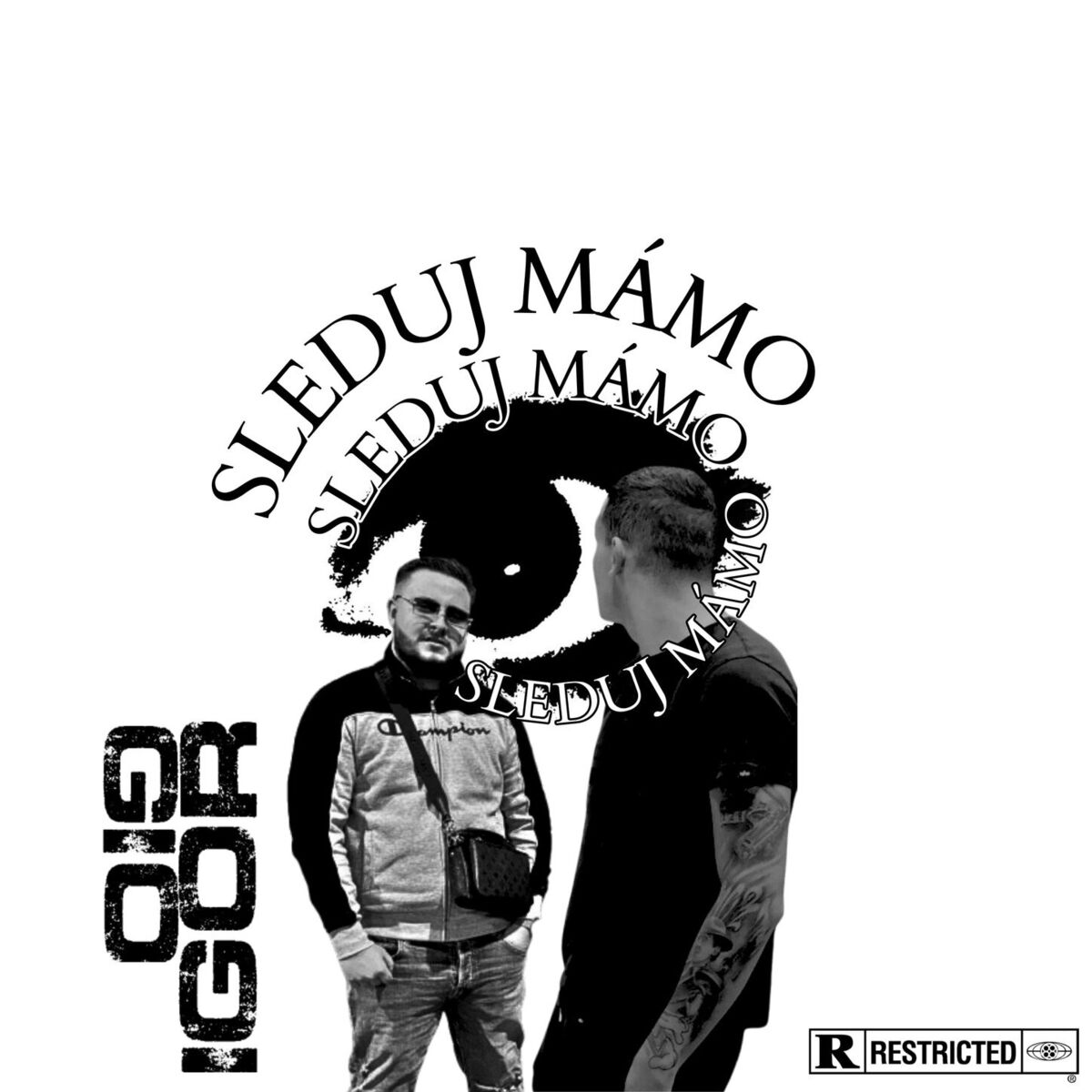 Album cover of Sleduj mámo