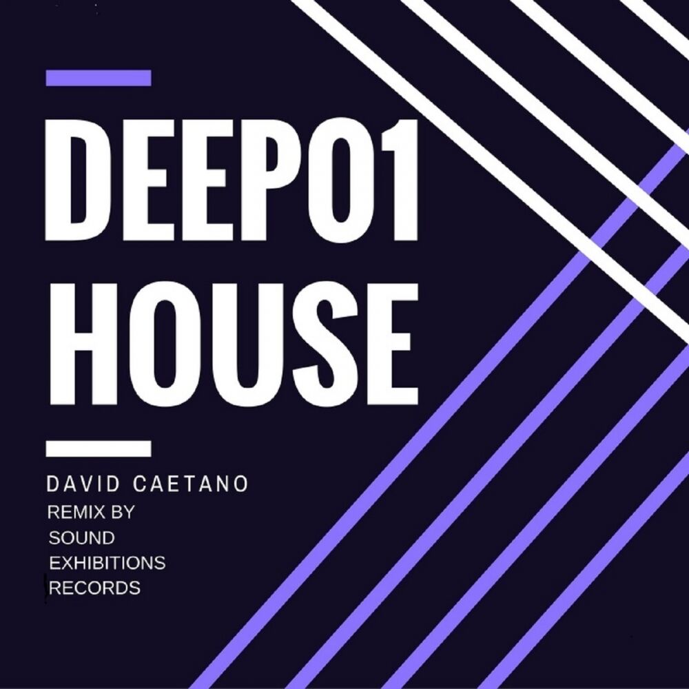 Picture of Deep House 01