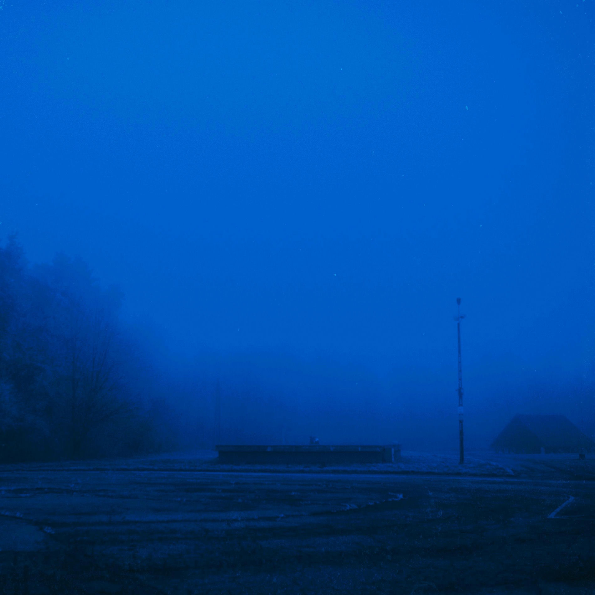 Album cover of losing you