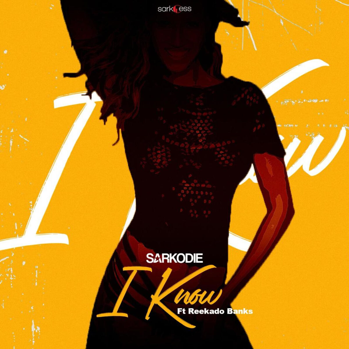 Album cover of I Know