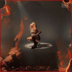 Cover of The Ring of Fire
