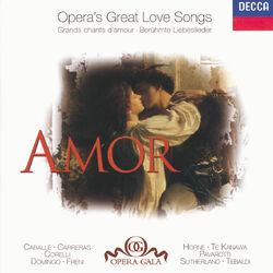 Cover of Amor - Opera's Great Love Songs