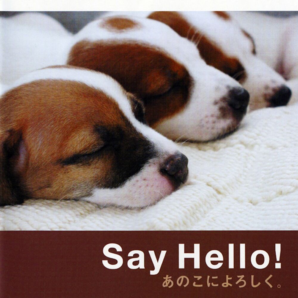 Picture of Say Hello! anokoni-yoroshiku. (ORIGINAL SOUNDTRACK)