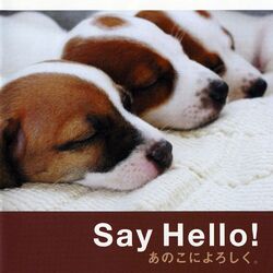 Cover of Say Hello! anokoni-yoroshiku. (ORIGINAL SOUNDTRACK)