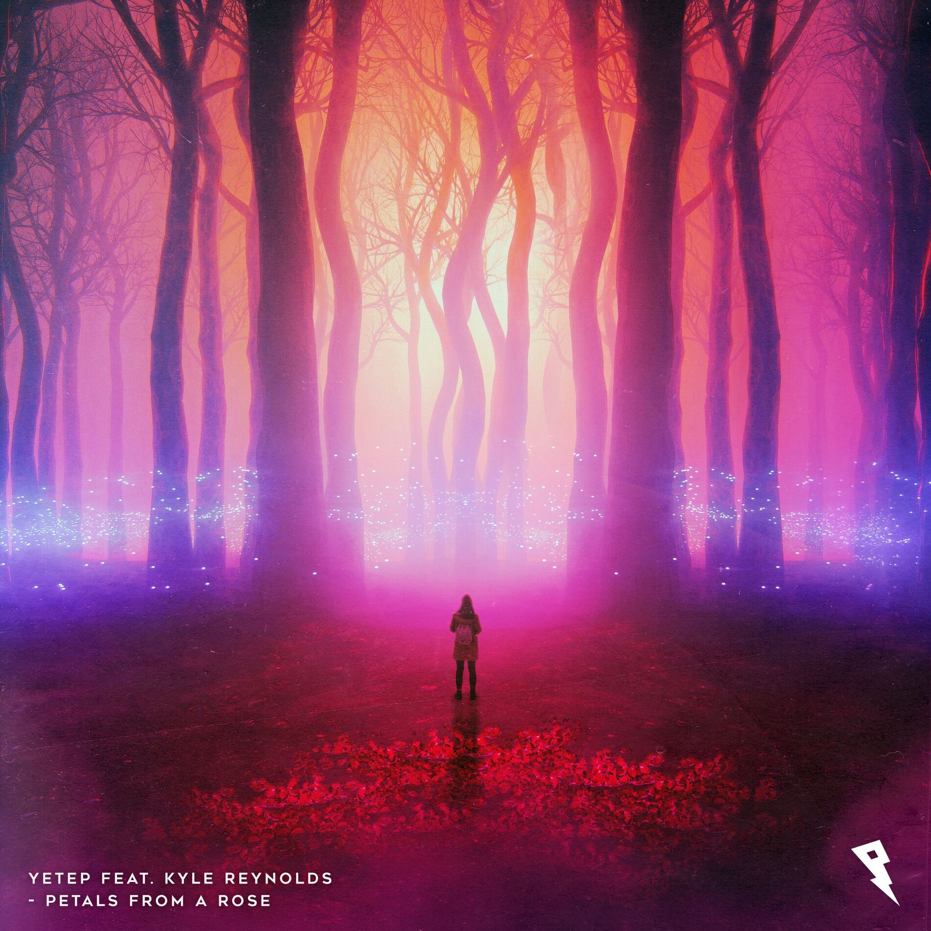 Album cover of Petals from a Rose