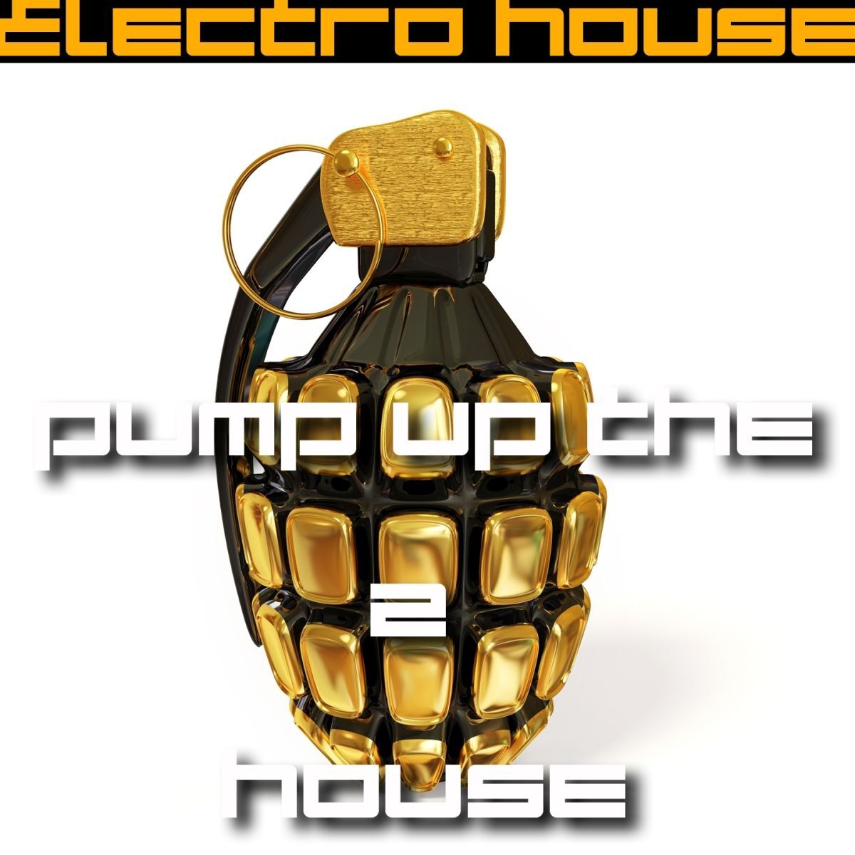 Album cover of Pump Up the House 2 - Electro House