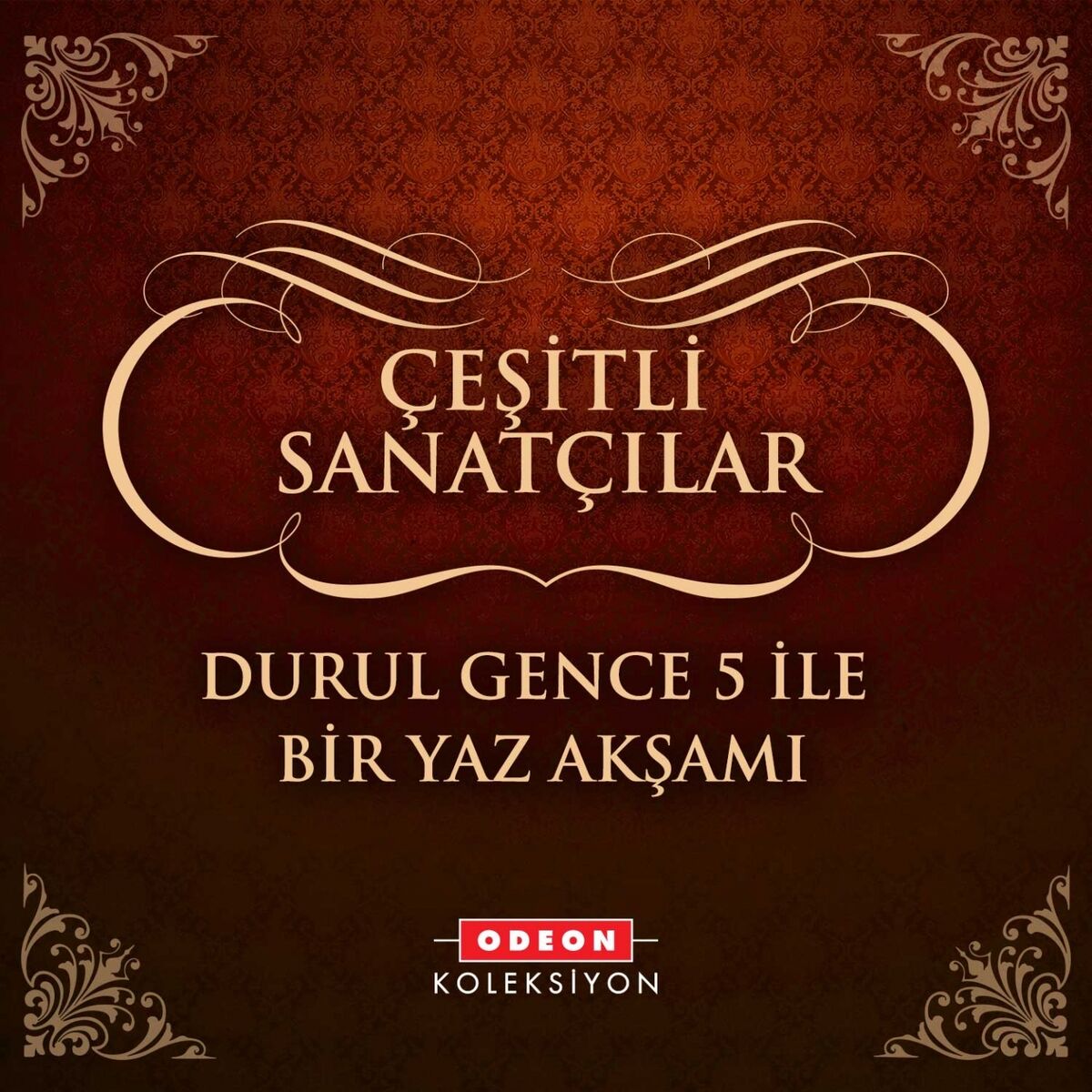 Album cover of Durul Gence 5 İle Yıldızları Ziyaret