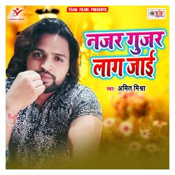 Cover of Najar Gujar Lag Jaai