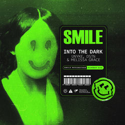 Cover of Into the Dark by undefined