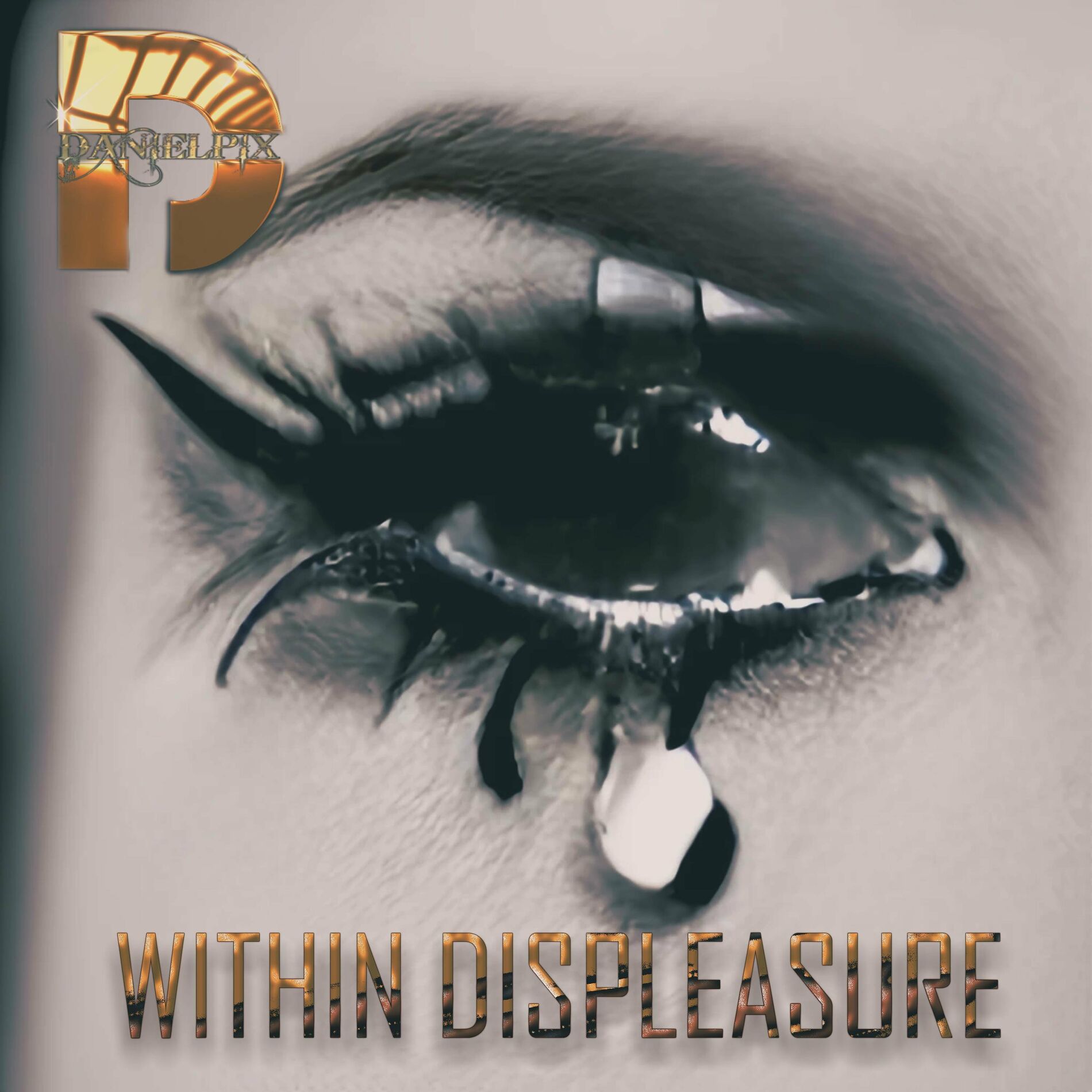 Album cover of Within Displeasure