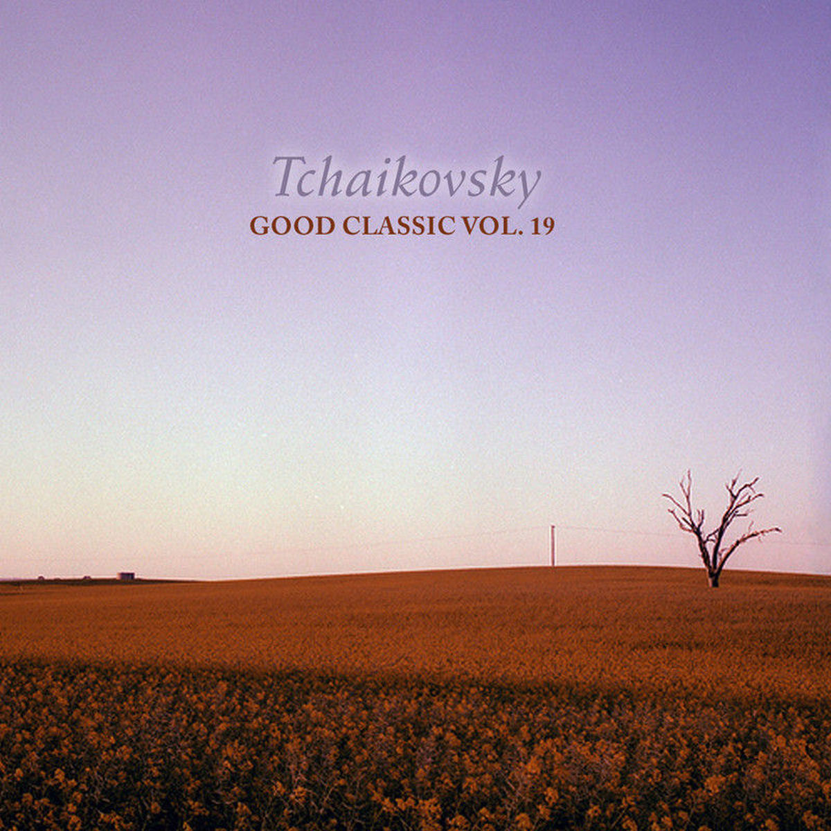Album cover of The Sleeping Beauty Op.66