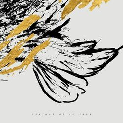 Cover of Cantaré de tu Amor
