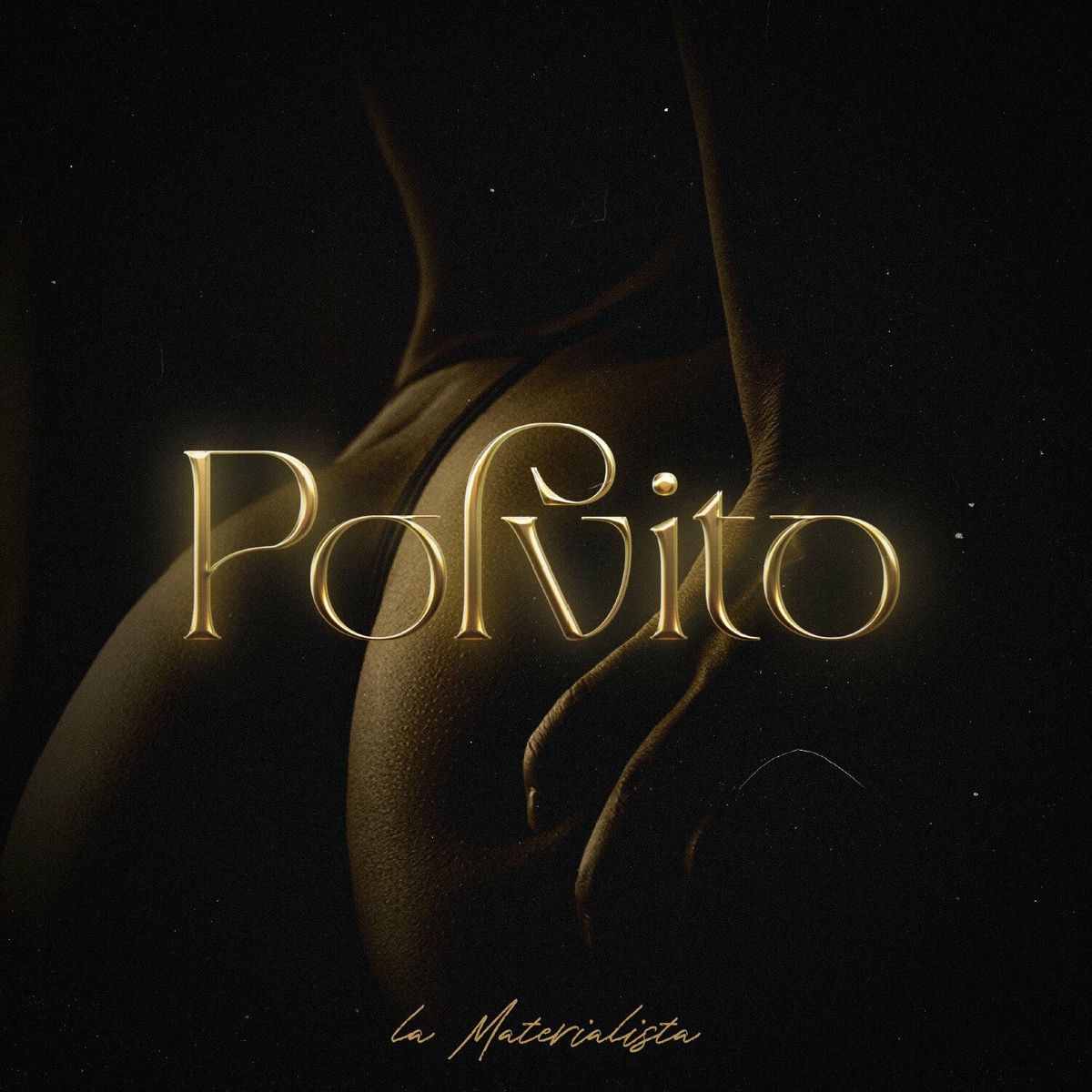 Album cover of Polvito