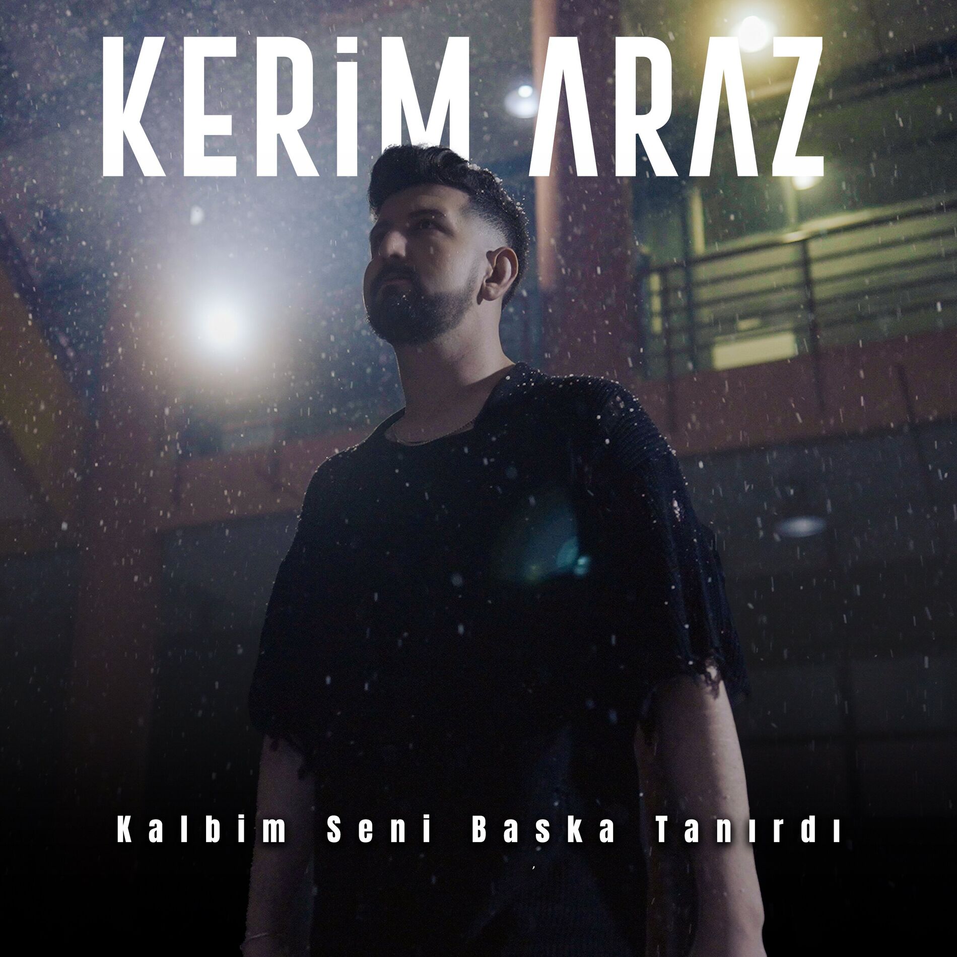 Album cover of Kalbim Seni Başka Tanırdı
